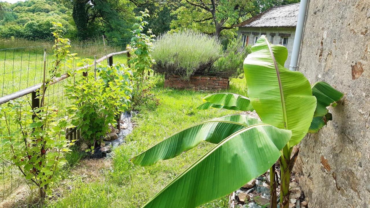Appartement Charmant Orgnac-Sur-Vezere Avec Jardin Et Parking Buitenkant foto