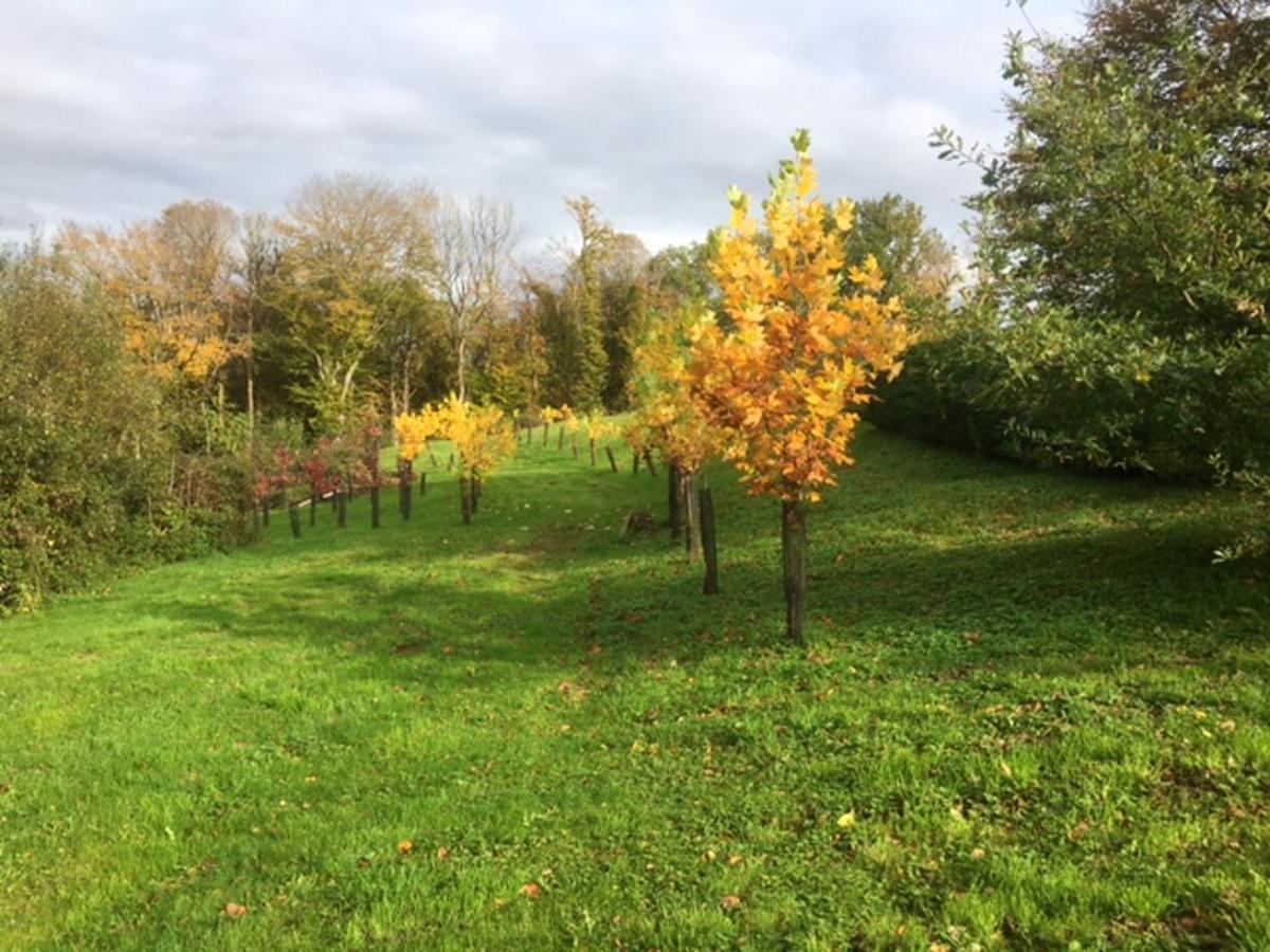 Appartement Charmant Orgnac-Sur-Vezere Avec Jardin Et Parking Buitenkant foto